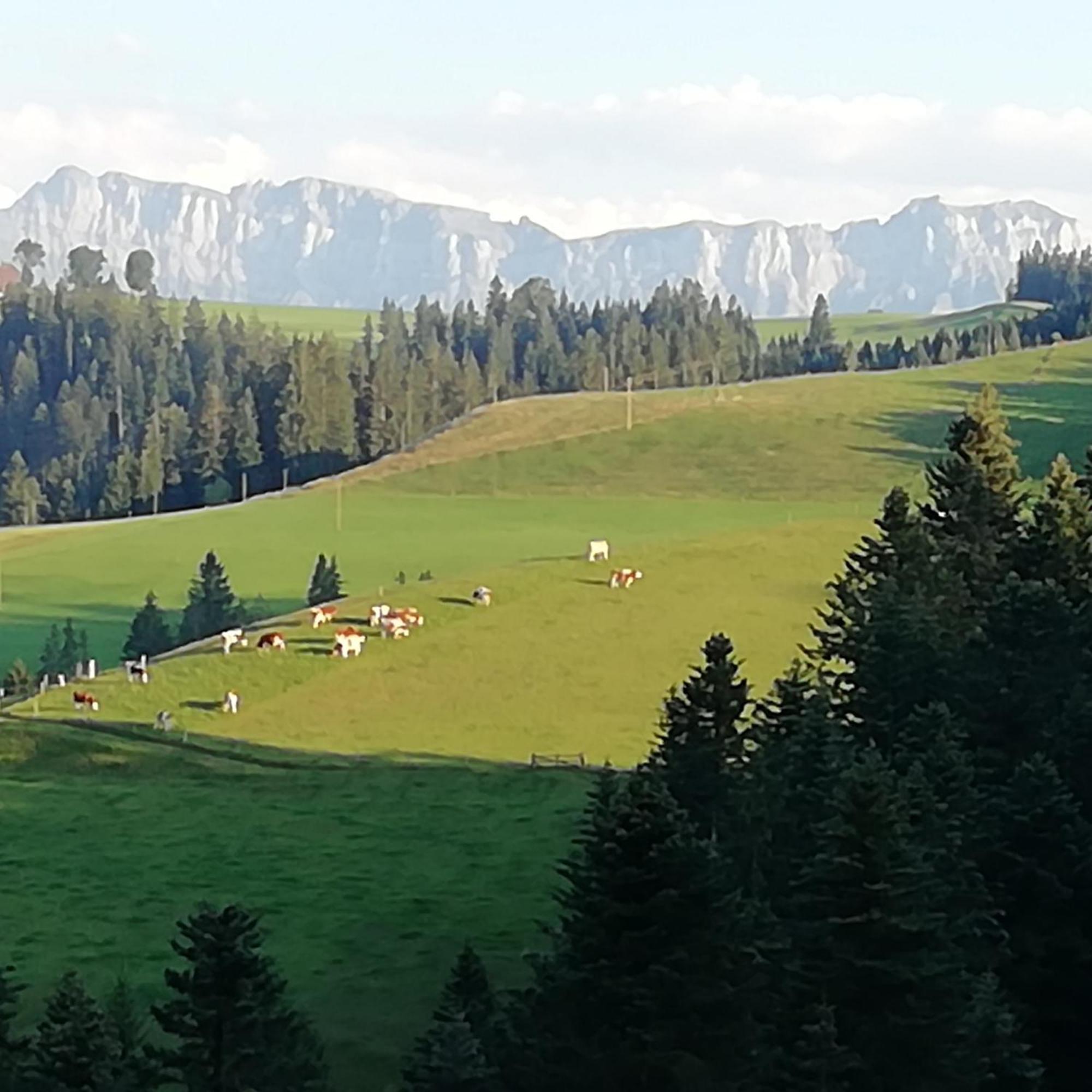 Emmental Ferien Apartment Langnau Exterior photo