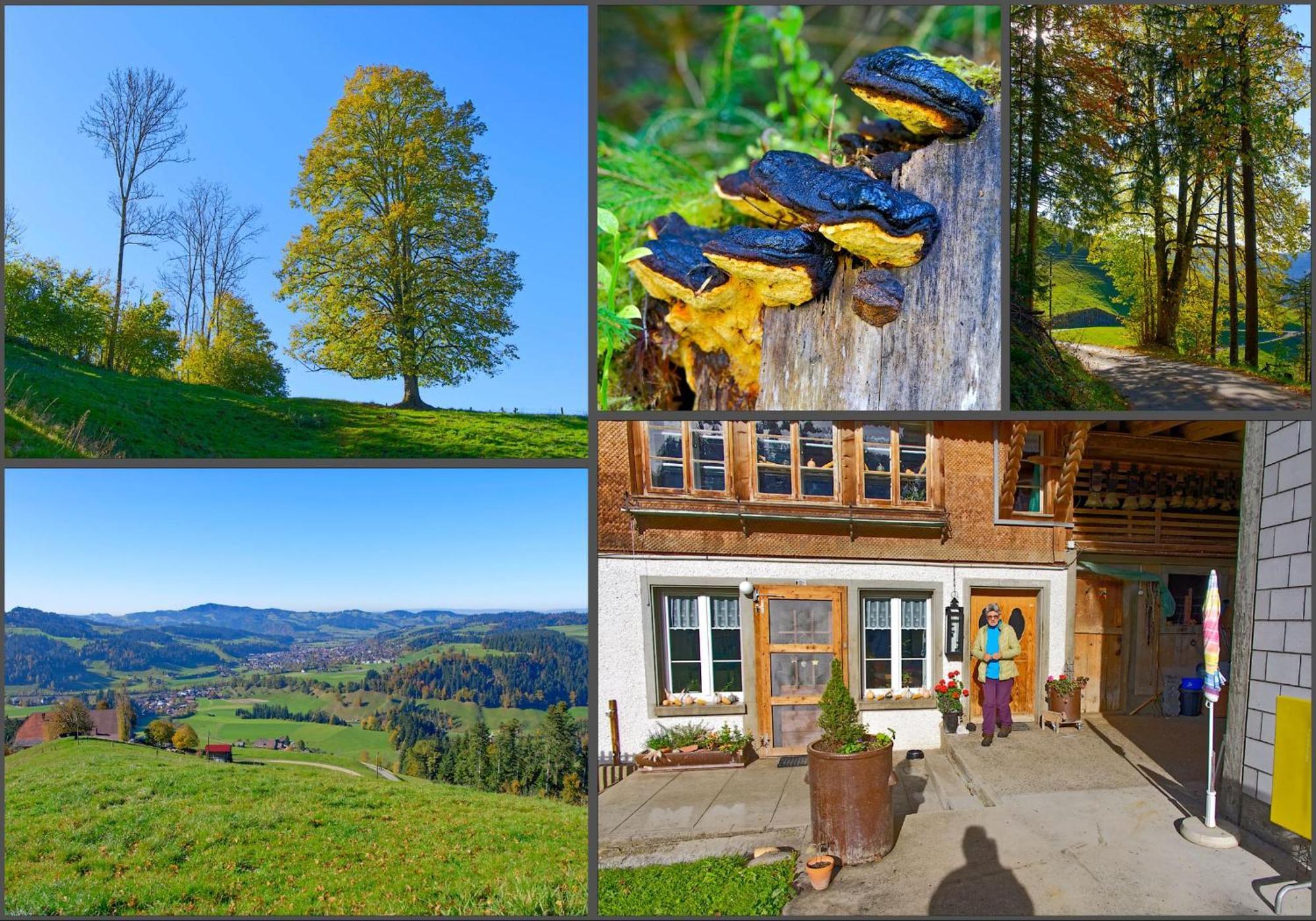 Emmental Ferien Apartment Langnau Exterior photo